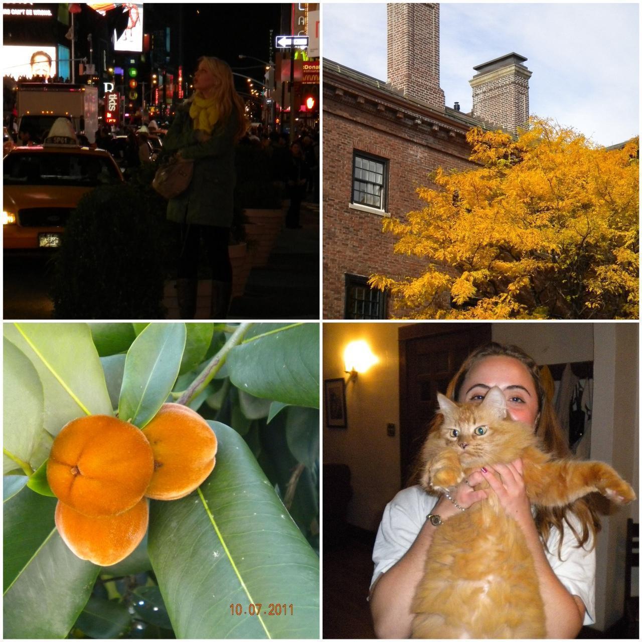 Pre-Owend Nikon Coolpix S220 Plum Digital Camera