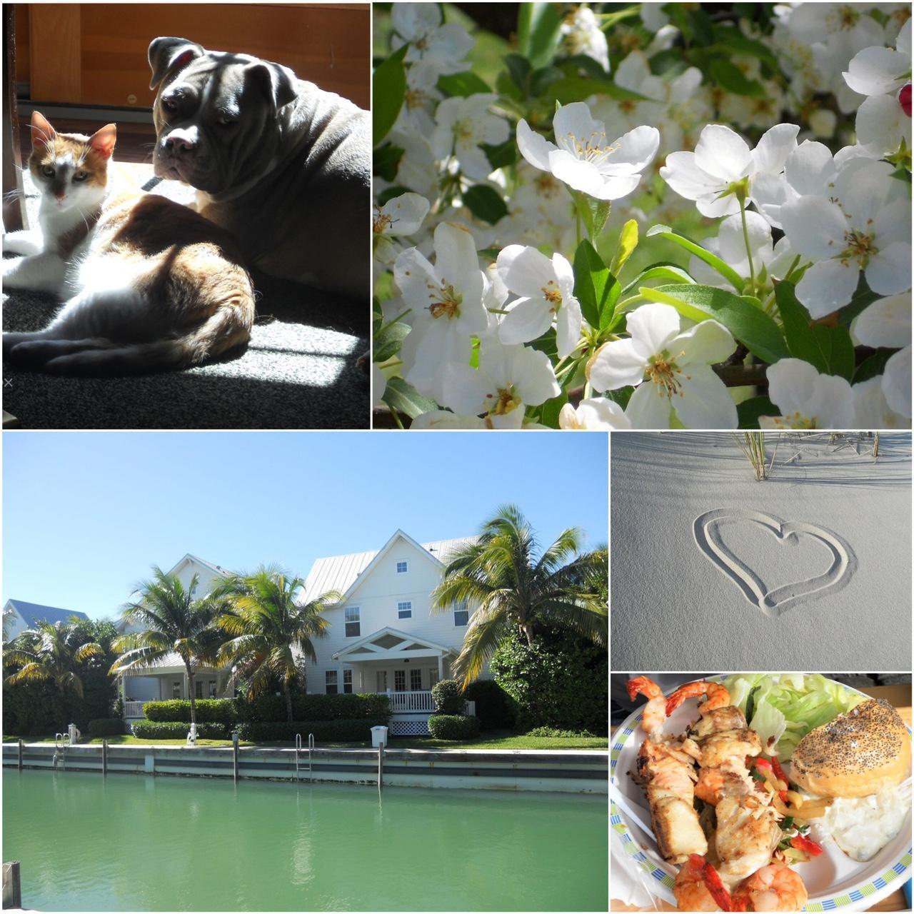 Pre-Owend Nikon Coolpix S3000 Digital Camera