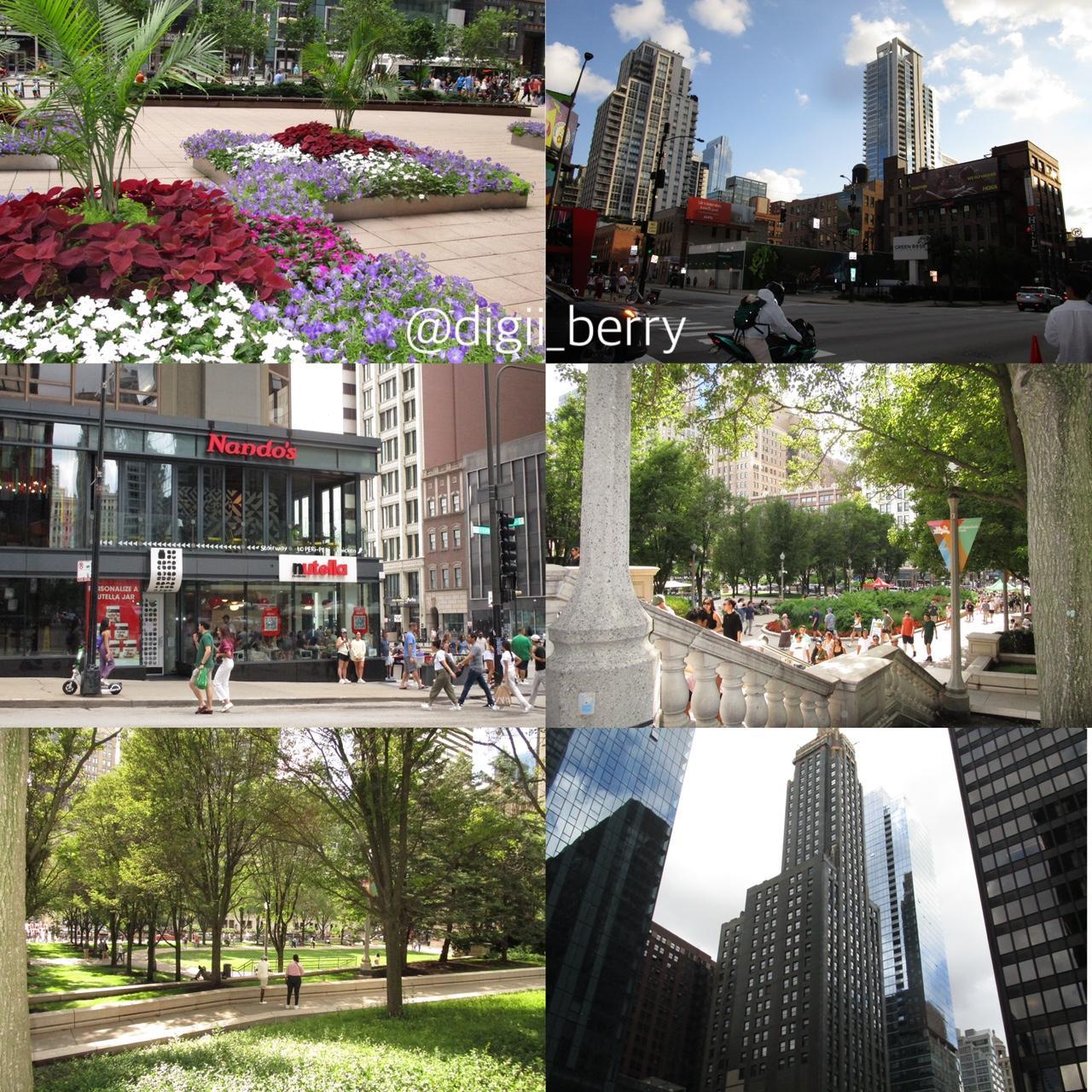 🥥 Canon IXUS 155 🥥 PreOwned