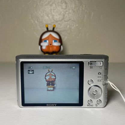 🎀 Sony Cybershot DSC-W610 🎀 PreOwned