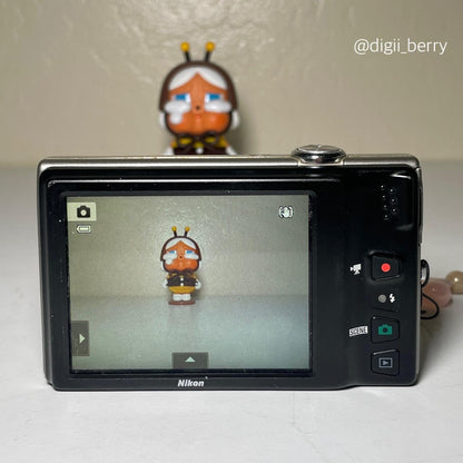 🧸 Nikon Coolpix S6100 🧸 PreOwned