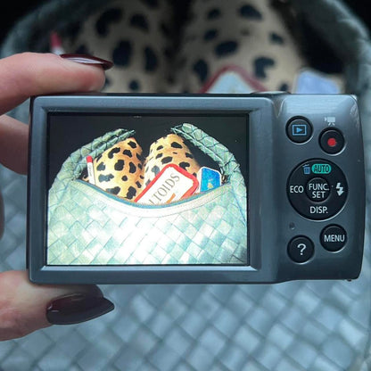 Canon Powershot 160 IS ELPH compact digital camera