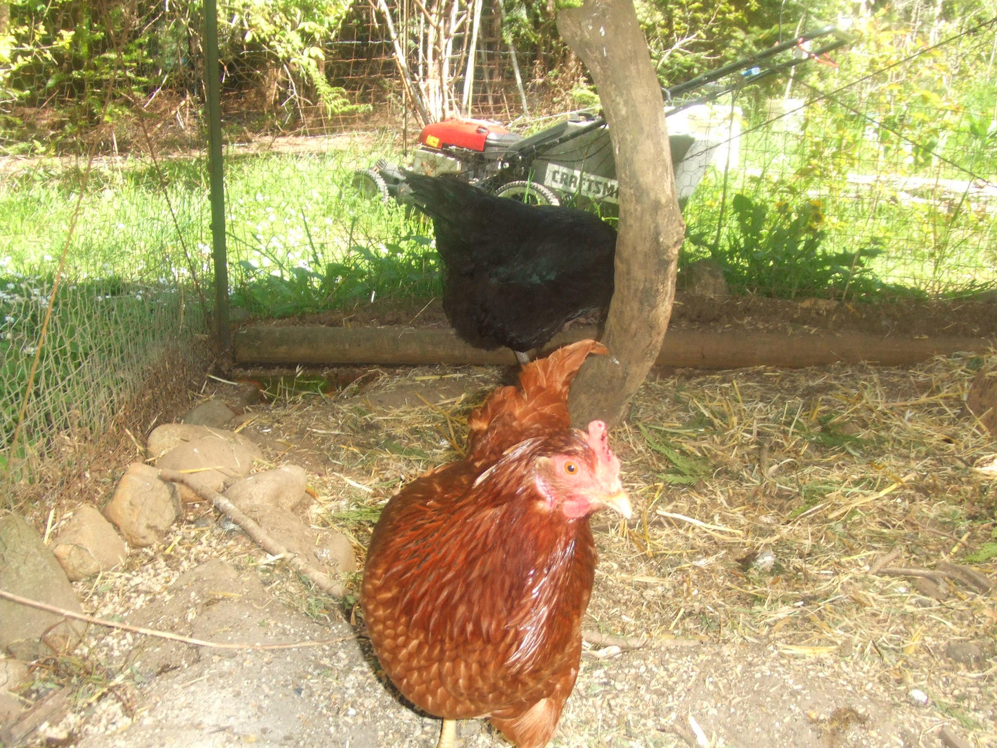 Fujifilm Finepix Z1 Cute y2k Aesthetic Decorated Digicam PreOwned