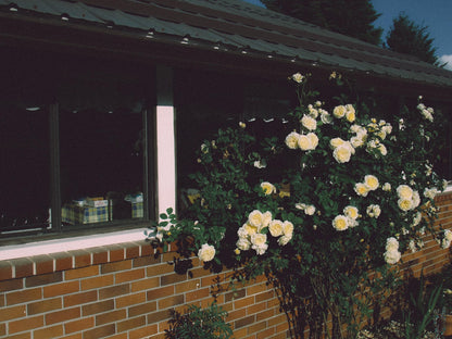 Fujifilm Finepix Z5 Cute y2k Aesthetic Decorated Digicam PreOwned