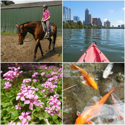 Pre-Owend Nikon Coolpix S6500 Digital Camera