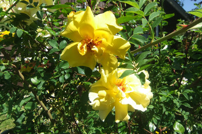 Fujifilm Finepix JZ310 y2k aesthetic decorated digicam with beaded strap, full set PreOwned