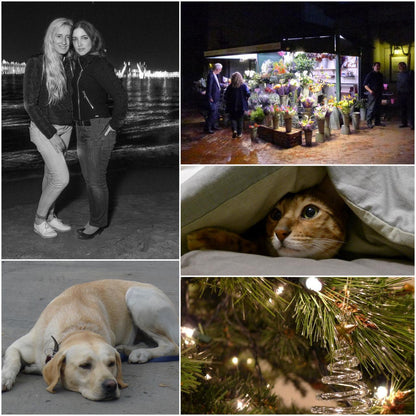 Pre-Owend Panasonic Lumix LX7 Digital Camera