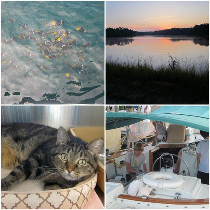 Pre-Owend Canon PowerShot Elph SD1300 IS Digital Camera 🌸 ˚ ₊・ Baby Pink Bundle